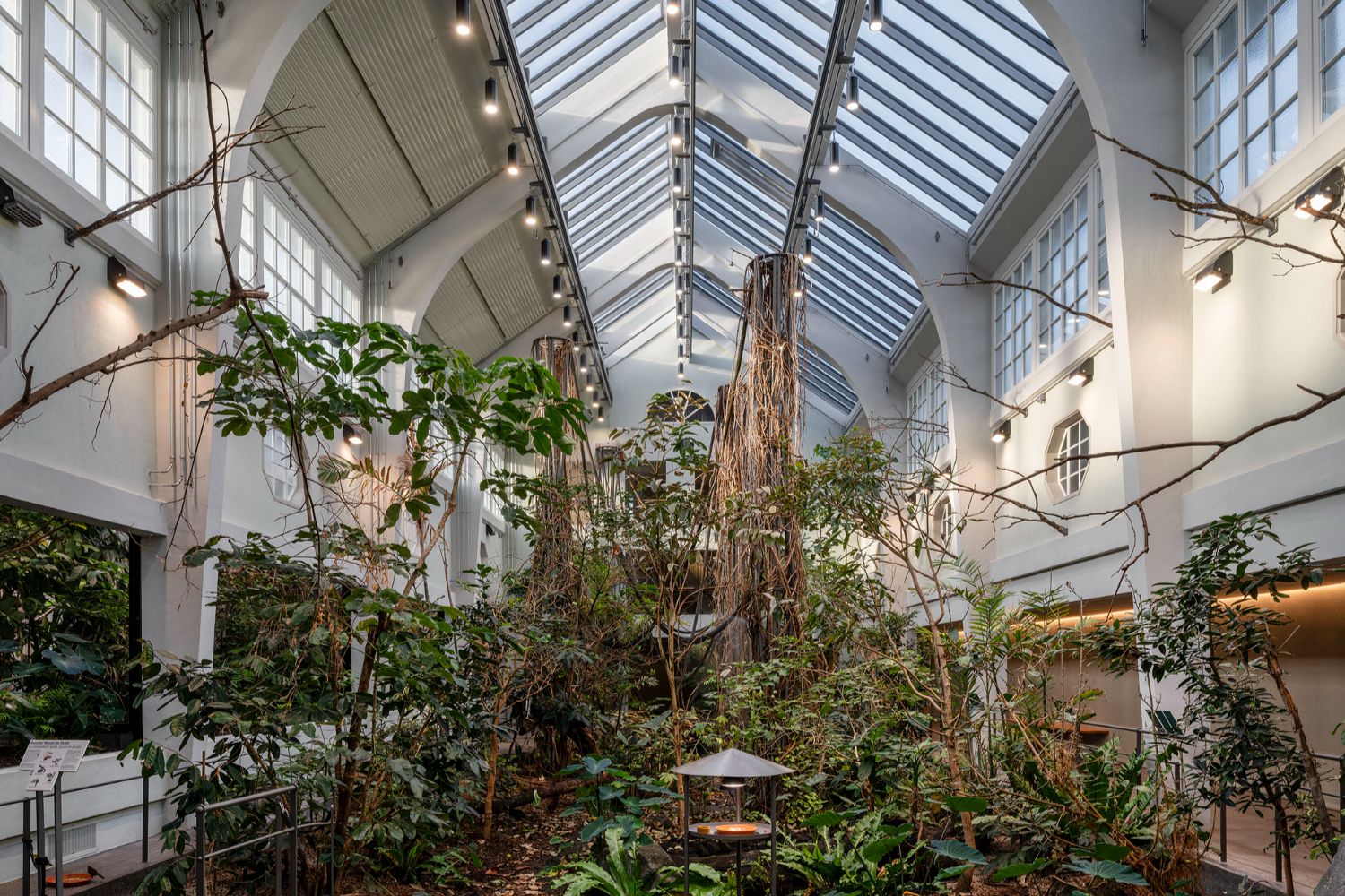 Zoo Basel Vogelhaus – Umbau & Oberlichter